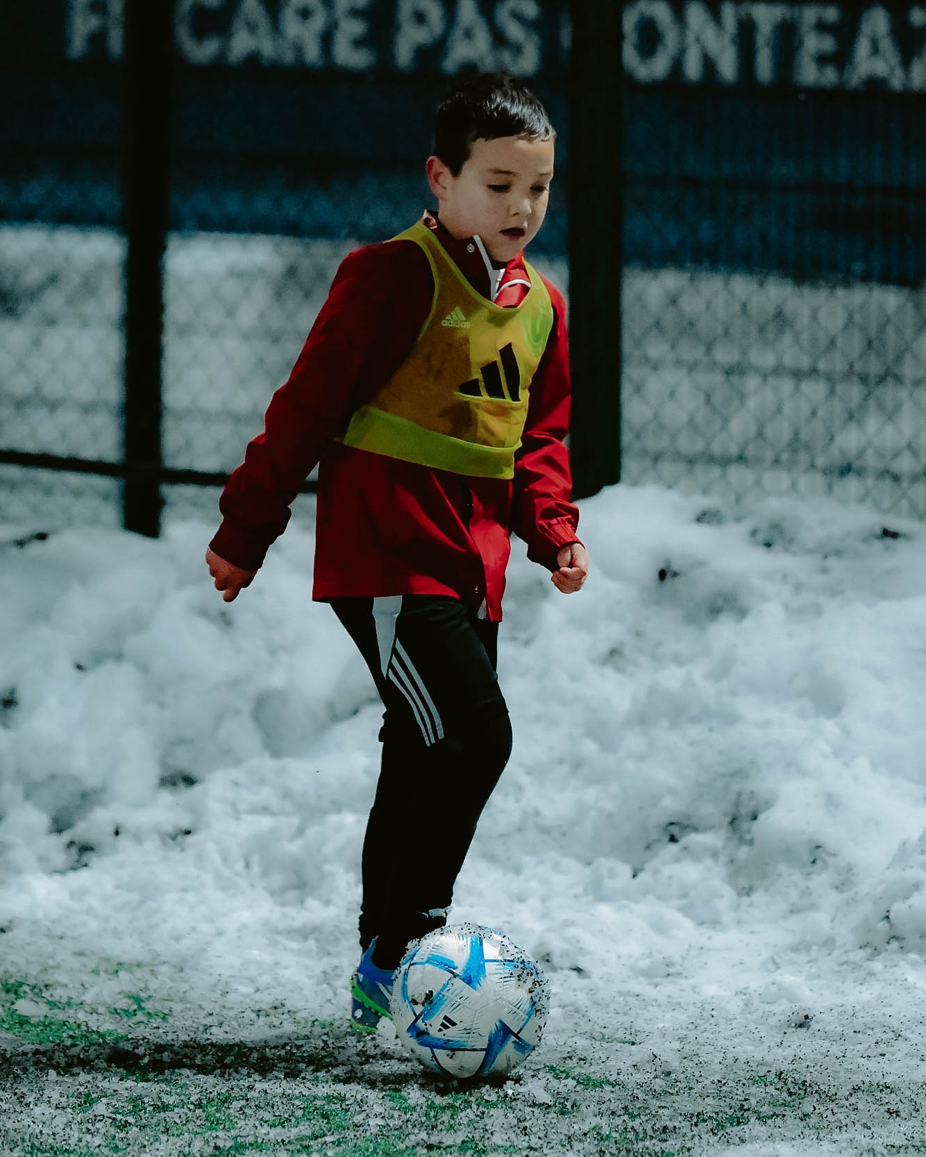 Foto echipă – Ianis
